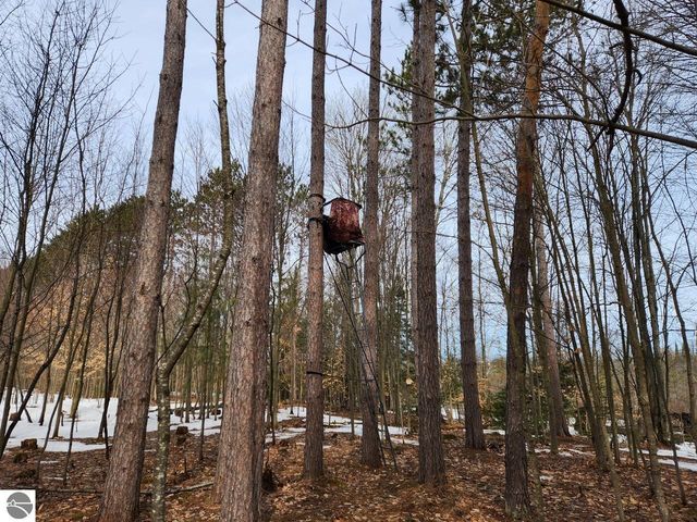 4714 Golden Road, SE, Kalkaska, MI 49646