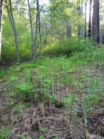 29531 Little Bear Creek Road, Cedar Glen, CA 92321