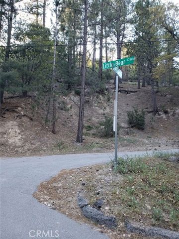 29531 Little Bear Creek Road, Cedar Glen, CA 92321