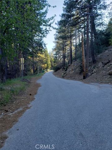 29531 Little Bear Creek Road, Cedar Glen, CA 92321