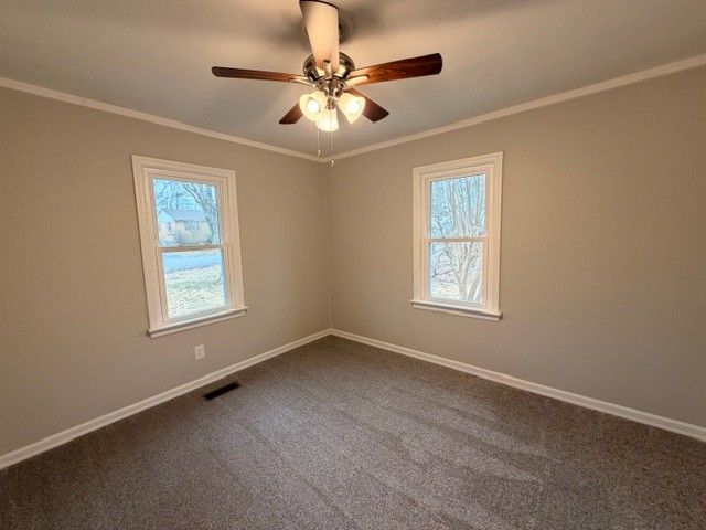 3619 Gale Ln, Hopkinsville, KY 42240