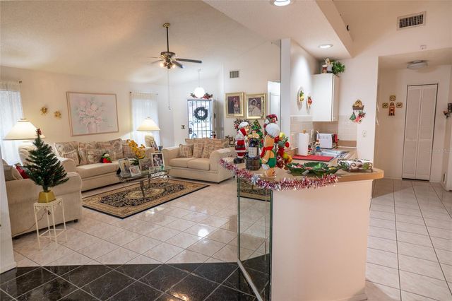 6021 LEMON TREE COURT, Tampa, FL 33625