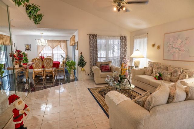 6021 LEMON TREE COURT, Tampa, FL 33625