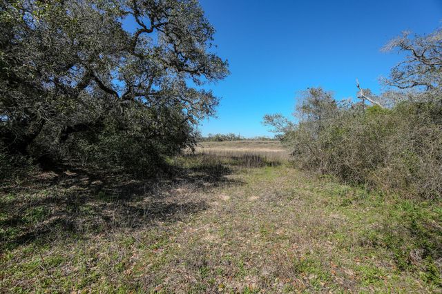 0 Forest Oaks Drive, Altair, TX 77412