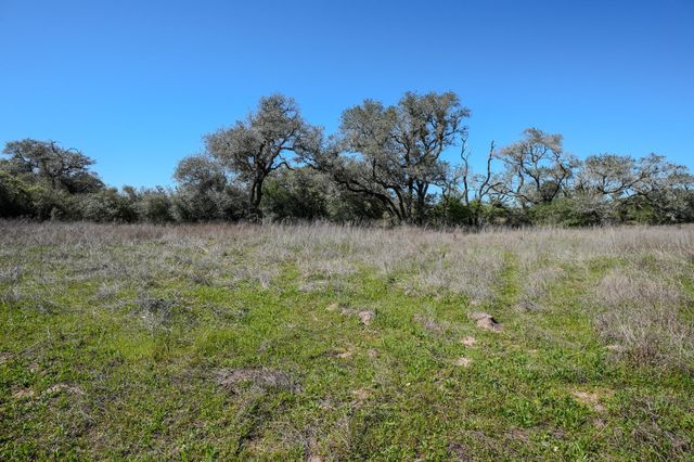 0 Forest Oaks Drive, Altair, TX 77412