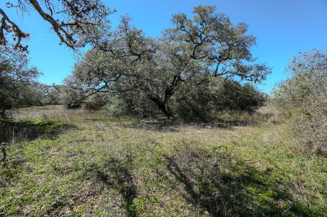 0 Forest Oaks Drive, Altair, TX 77412