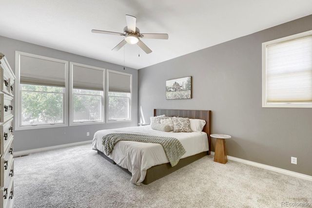 3364 Spruce Dell Court, Castle Rock, CO 80109