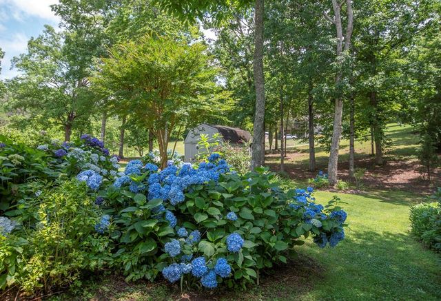 53 Windjammer Court, Hiawassee, GA 30546