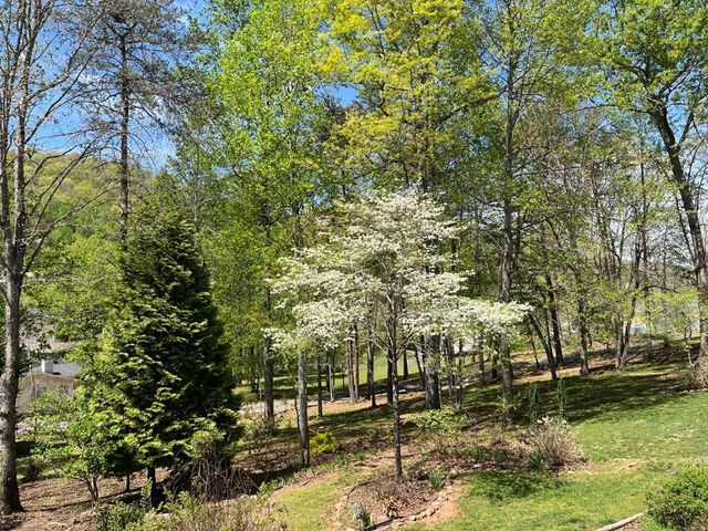 53 Windjammer Court, Hiawassee, GA 30546