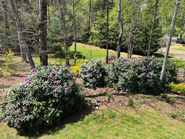53 Windjammer Court, Hiawassee, GA 30546