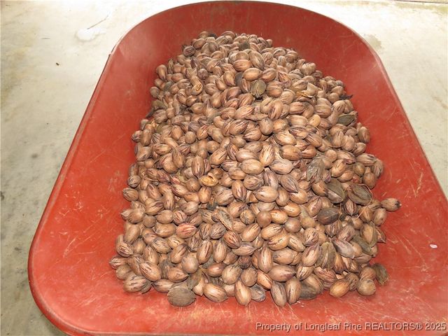 10097 NC Highway 41 S, Fairmont, NC 28340