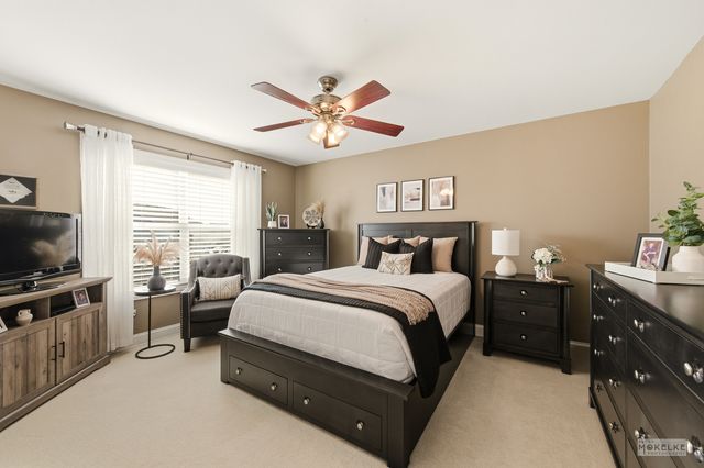 149 N Willowwood Drive, Oswego, IL 60543