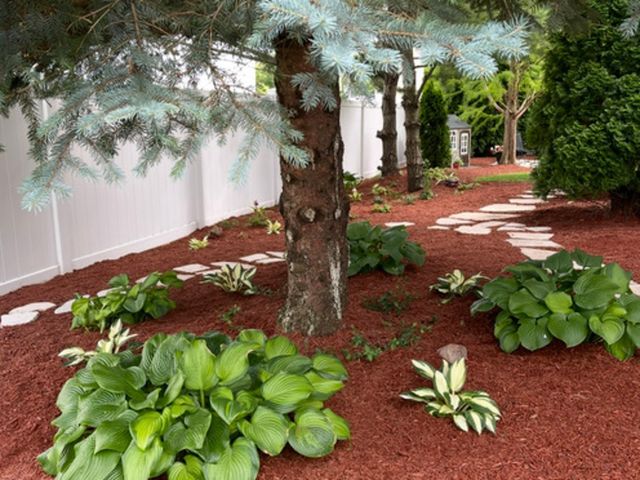 149 N Willowwood Drive, Oswego, IL 60543