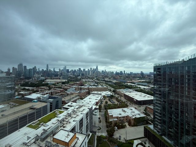 860 W Blackhawk Street 2401, Chicago, IL 60642