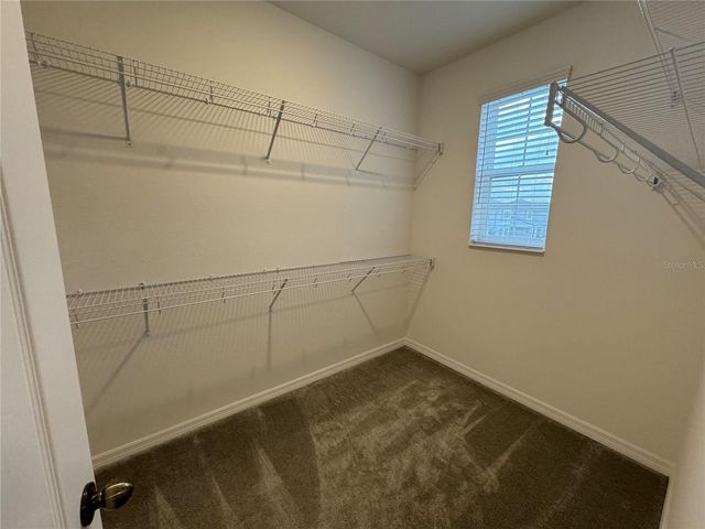 12597 ENCORE AT OVATION WAY, Winter Garden, FL 34787