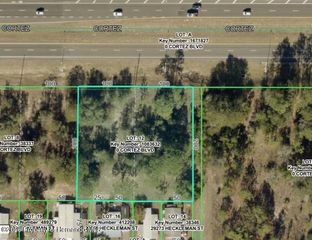 0 Cortez Boulevard, Brooksville, FL 34602