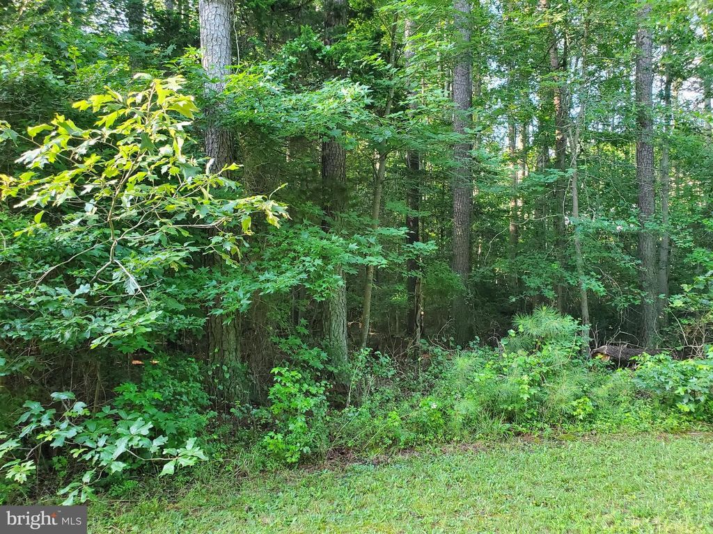 45493 DEER CROSSING LN, California, MD 20619