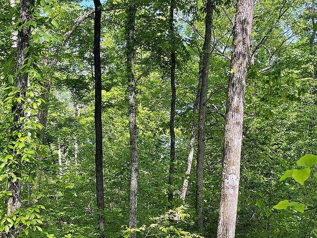 Lot 28 Cumberland Shores, Monticello, KY 42633
