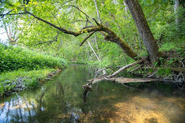 2440 Hugo Road, Merlin, OR 97532