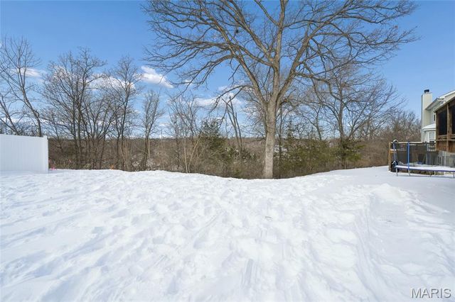 2673 Ruddy Ridge Drive, High Ridge, MO 63049