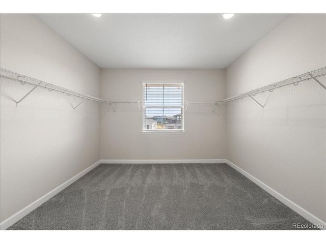 1335 Alyssa Dr, Timnath, CO 80547