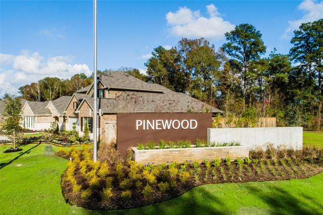 17118 Quaking Aspen Lane, New Caney, TX 77357