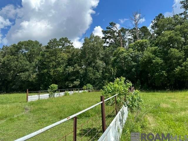 17198 Cannon Rd, Livingston, LA 70754