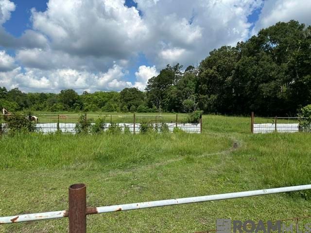 17198 Cannon Rd, Livingston, LA 70754