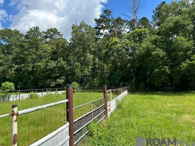 17198 Cannon Rd, Livingston, LA 70754