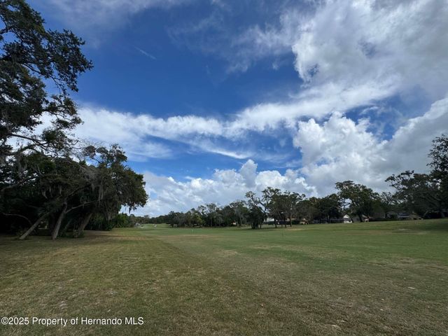 12814 Ironwood Circle, Hudson, FL 34667