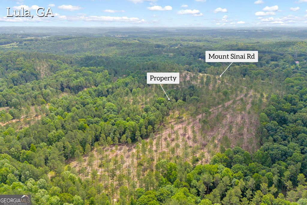 0 Mt. Sinai LOT 3, Lula, GA 30554 — photo 3