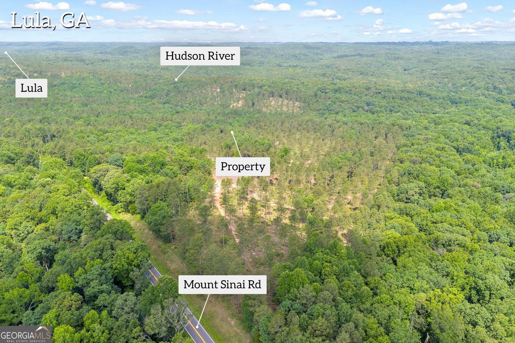0 Mt. Sinai LOT 3, Lula, GA 30554 — photo 5
