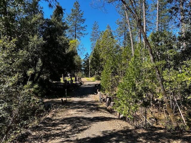 15912 Valhalla Drive, Oak Run, CA 96069