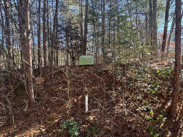 Lot 32 East Ridge Lane, Ellijay, GA 30536