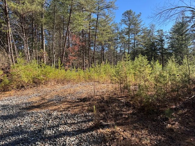 Lot 32 East Ridge Lane, Ellijay, GA 30536