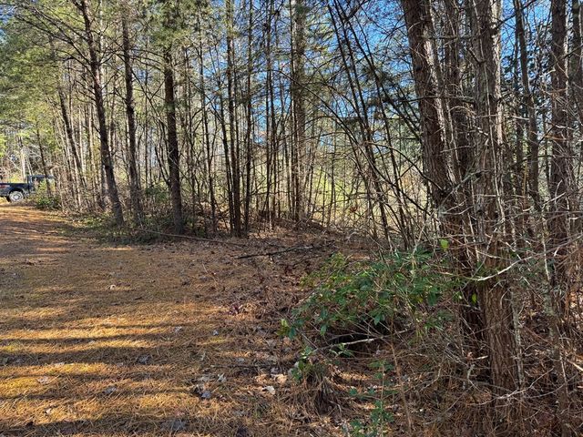 Lot 32 East Ridge Lane, Ellijay, GA 30536