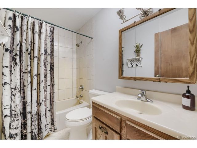 2008 Virginia Canyon Rd, Idaho Springs, CO 80452