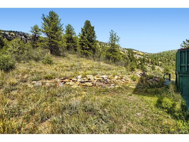 2008 Virginia Canyon Rd, Idaho Springs, CO 80452