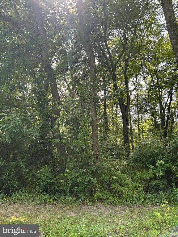 CHESTERVILLE FOREST RD #PARCEL 60, Millington, MD 21651