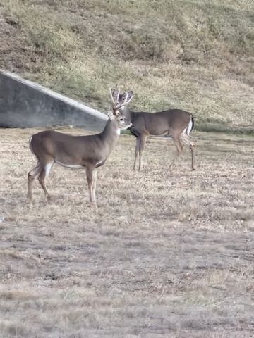 7701 E 82nd Street North, Owasso, OK 74055