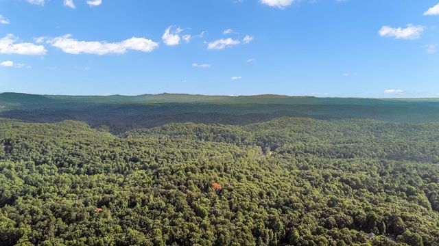165 Timberwalk Drive, Ellijay, GA 30540