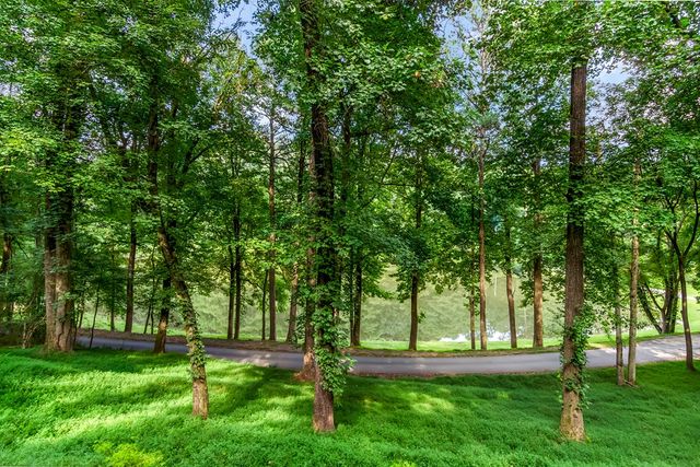 165 Timberwalk Drive, Ellijay, GA 30540