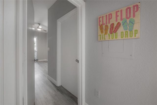 402 S ARMENIA AVENUE 114, Tampa, FL 33609