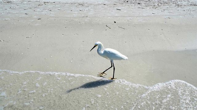 5920 MIDNIGHT PASS ROAD 1003, Sarasota, FL 34242