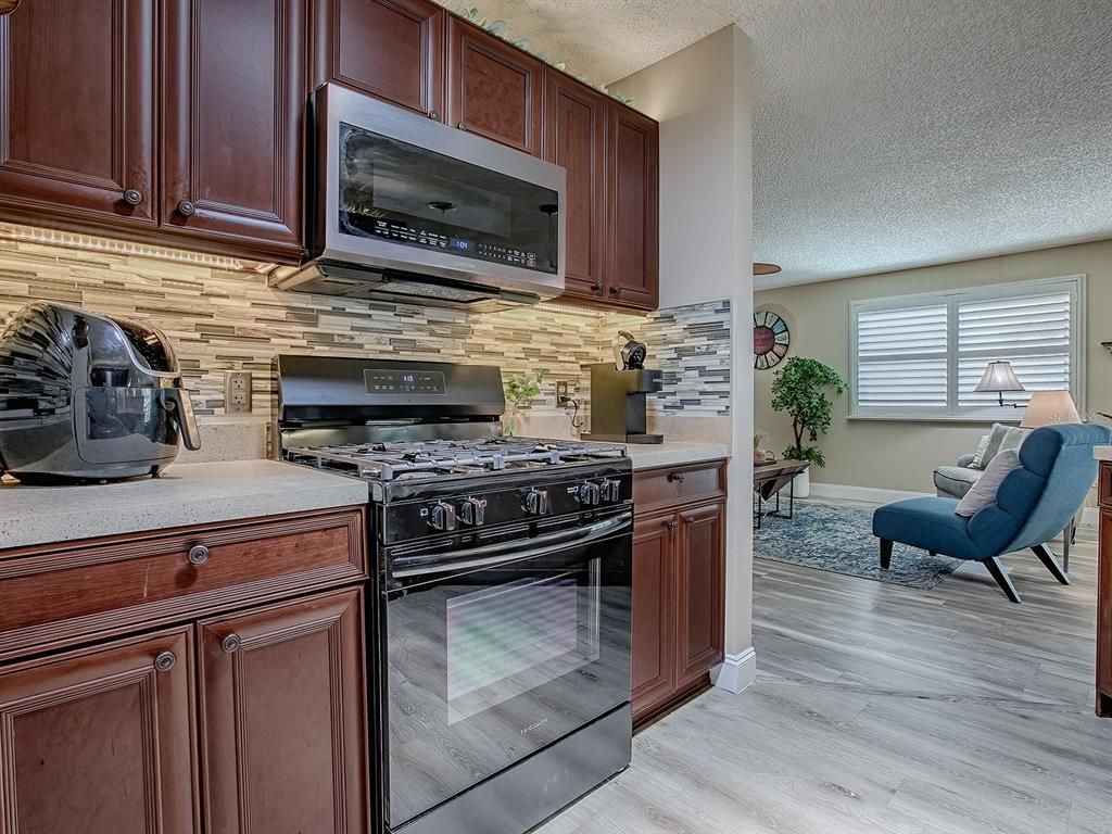 Image 16 of property listing at 9324 SE 173RD HYACINTH STREET, The Villages, FL 32162