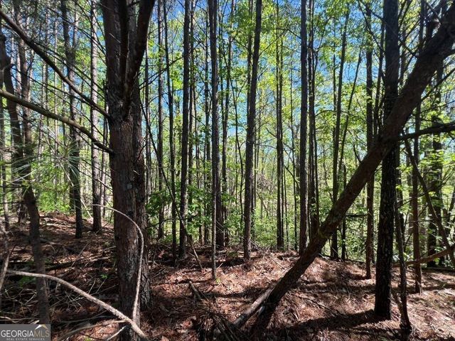 922 Whistler Lane 67, Canton, GA 30114