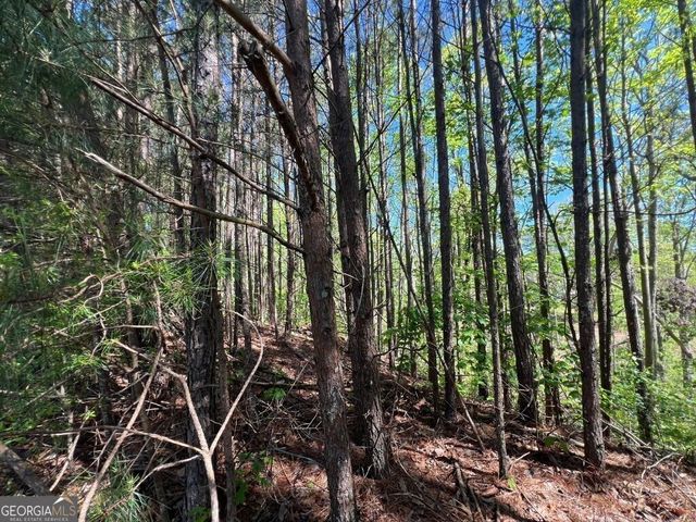 922 Whistler Lane 67, Canton, GA 30114