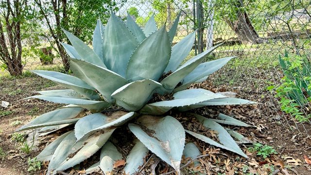 1122 4th Street, Graham, TX 76450