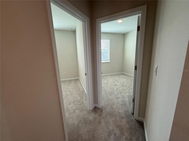 591 POTHOS STREET, Apopka, FL 32703