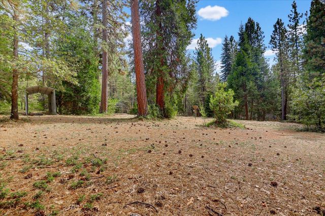 17201 Old Mill Rd, Nevada City, CA 95959